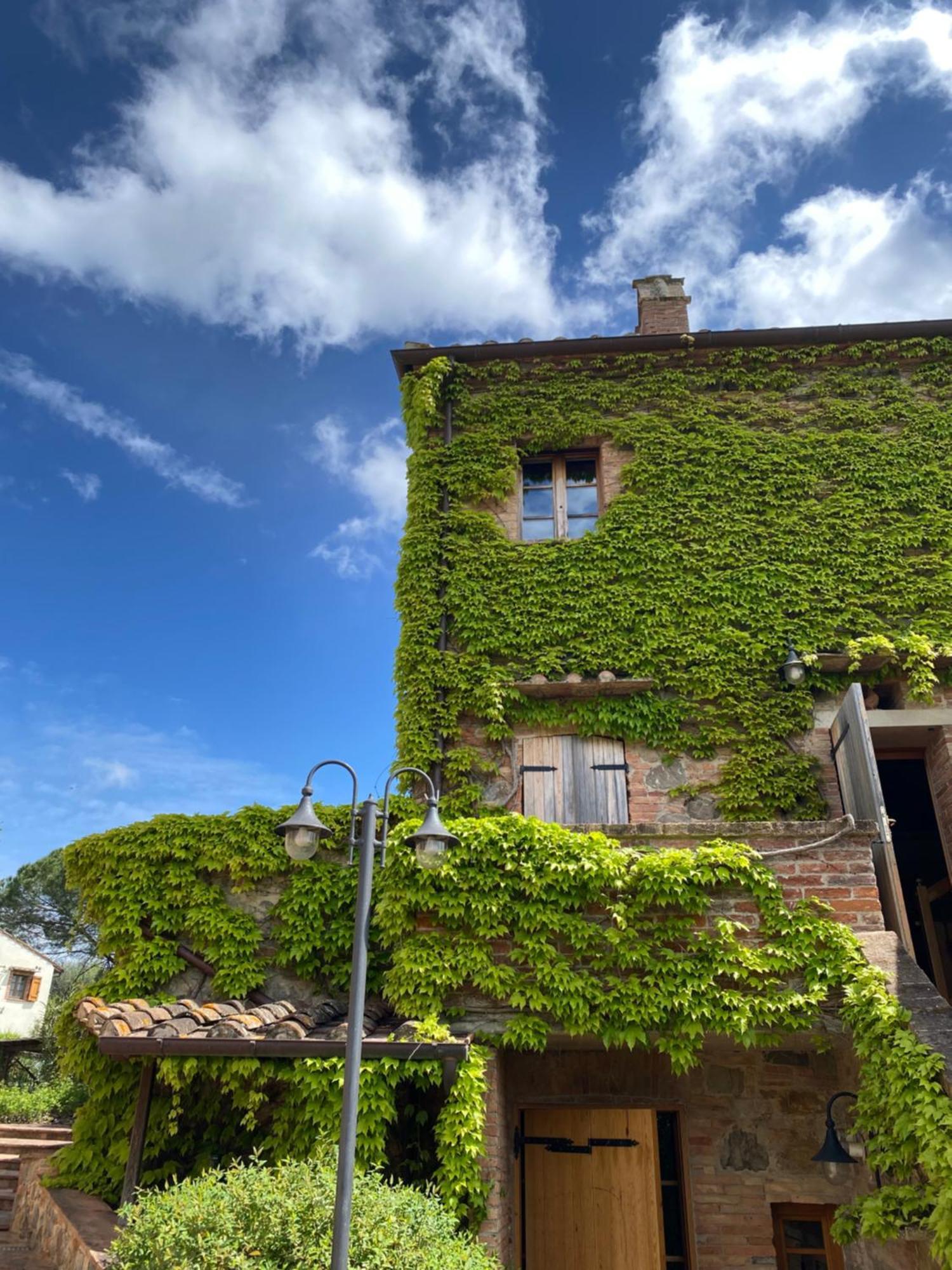 Agriturismo Borgo 7 Tigli - Apt 1 Montepulciano Stazione المظهر الخارجي الصورة