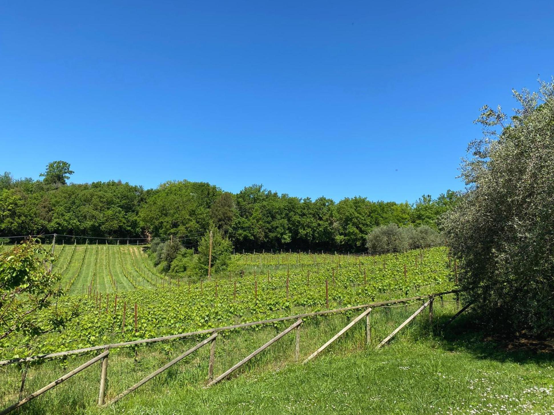 Agriturismo Borgo 7 Tigli - Apt 1 Montepulciano Stazione المظهر الخارجي الصورة